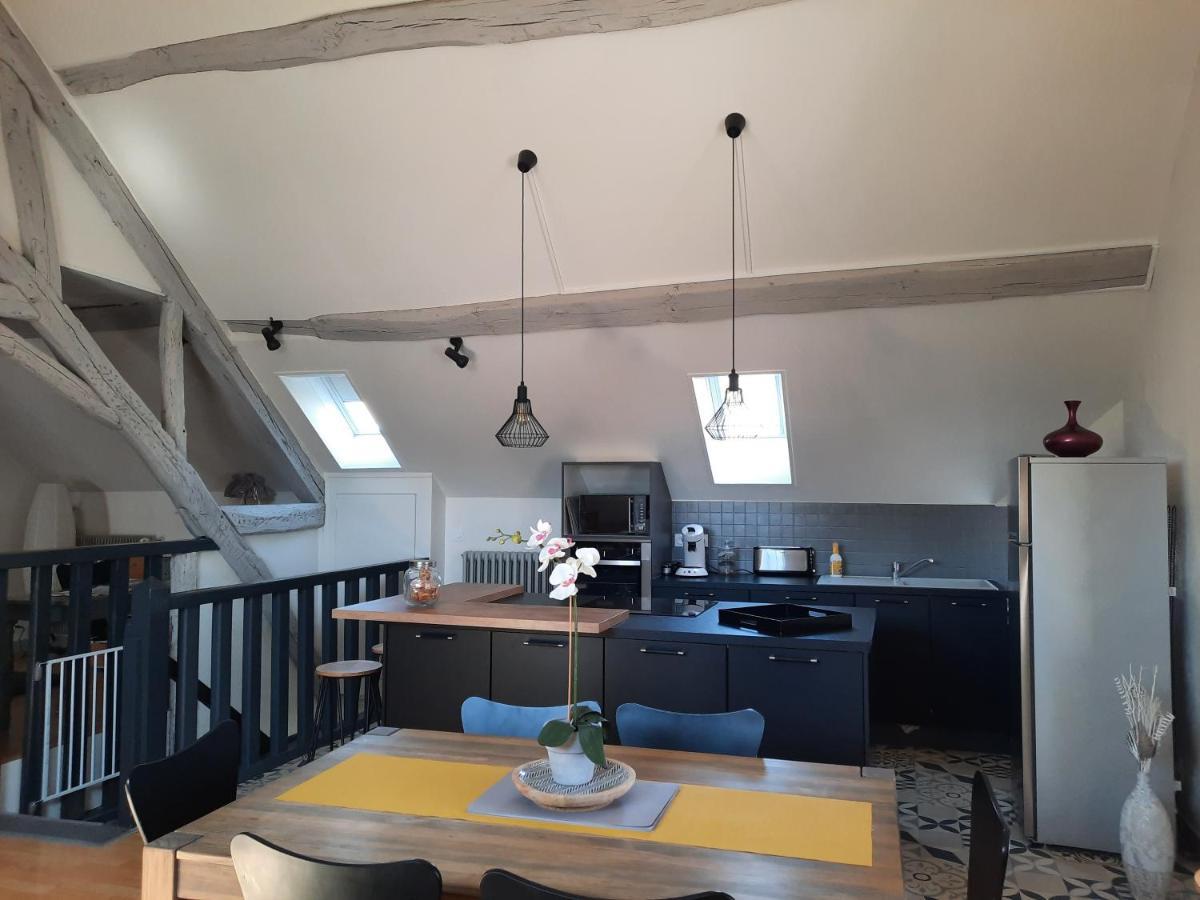 Grand Appartement Tout Confort Proche De Chambord Saint-Claude-de-Diray Exterior photo
