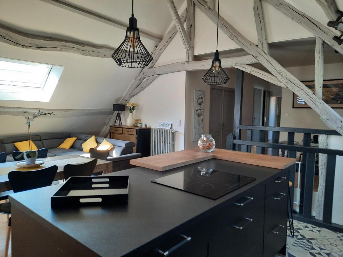 Grand Appartement Tout Confort Proche De Chambord Saint-Claude-de-Diray Exterior photo