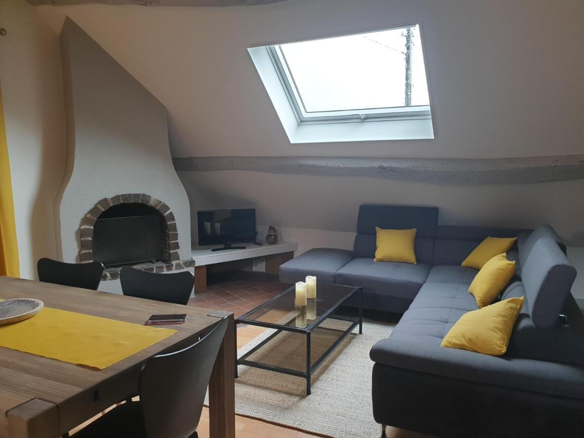 Grand Appartement Tout Confort Proche De Chambord Saint-Claude-de-Diray Exterior photo